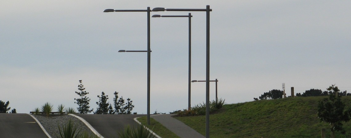 CUSTOM POLES